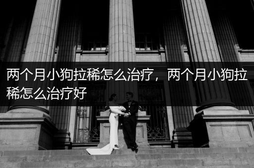 兩個月小狗拉稀怎么治療，兩個月小狗拉稀怎么治療好