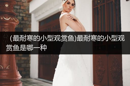 （最耐寒的小型觀賞魚(yú))最耐寒的小型觀賞魚(yú)是哪一種