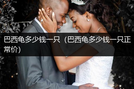 巴西龜多少錢一只（巴西龜多少錢一只正常價）