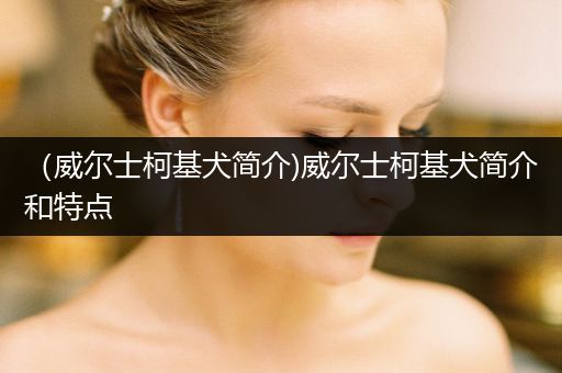 （威爾士柯基犬簡(jiǎn)介)威爾士柯基犬簡(jiǎn)介和特點(diǎn)