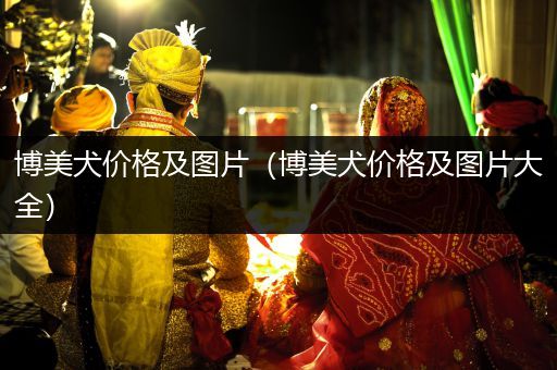 博美犬價(jià)格及圖片（博美犬價(jià)格及圖片大全）