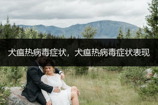 犬瘟熱病毒癥狀，犬瘟熱病毒癥狀表現(xiàn)