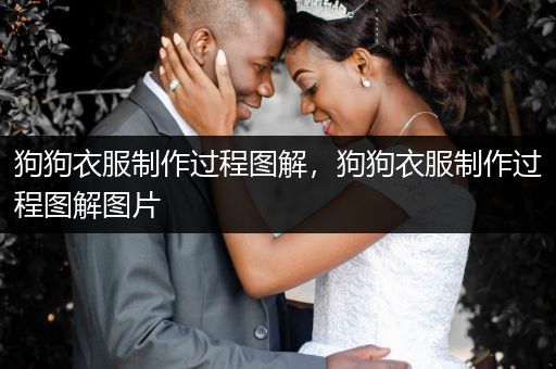 狗狗衣服制作過(guò)程圖解，狗狗衣服制作過(guò)程圖解圖片