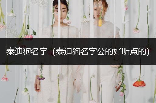 泰迪狗名字（泰迪狗名字公的好聽點的）