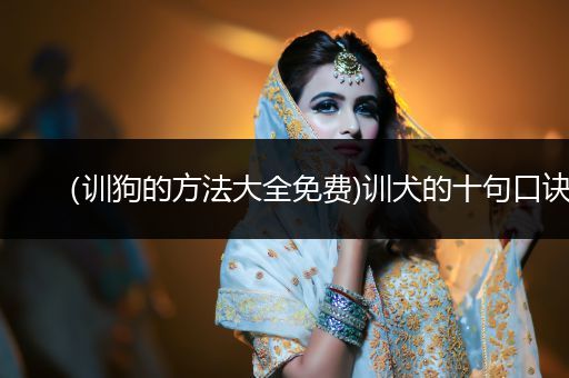 （訓(xùn)狗的方法大全免費(fèi))訓(xùn)犬的十句口訣