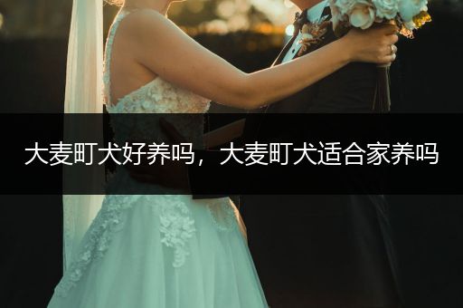 大麥町犬好養(yǎng)嗎，大麥町犬適合家養(yǎng)嗎