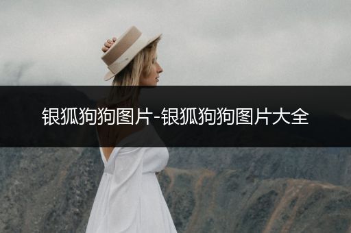 銀狐狗狗圖片-銀狐狗狗圖片大全