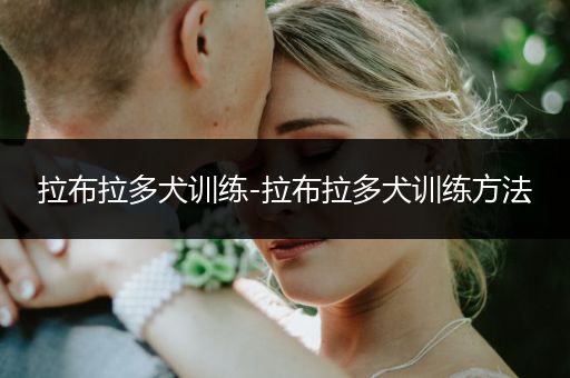 拉布拉多犬訓練-拉布拉多犬訓練方法