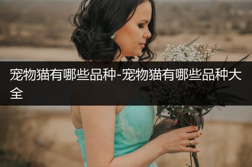 寵物貓有哪些品種-寵物貓有哪些品種大全