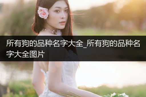 所有狗的品種名字大全_所有狗的品種名字大全圖片
