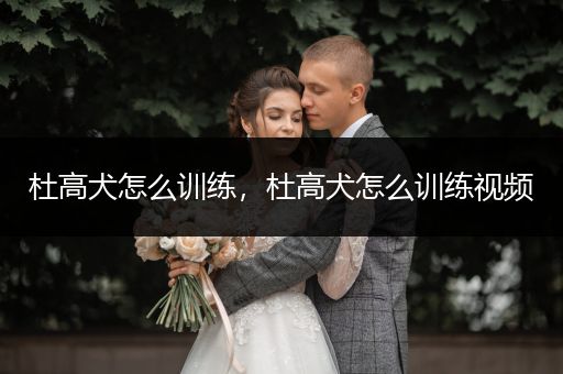 杜高犬怎么訓練，杜高犬怎么訓練視頻
