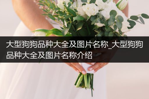 大型狗狗品種大全及圖片名稱_大型狗狗品種大全及圖片名稱介紹