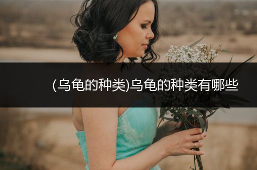 （烏龜?shù)姆N類)烏龜?shù)姆N類有哪些