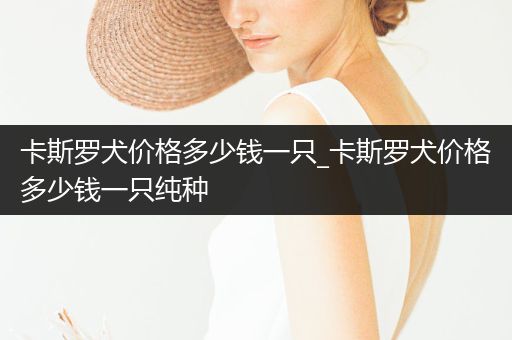 卡斯羅犬價格多少錢一只_卡斯羅犬價格多少錢一只純種