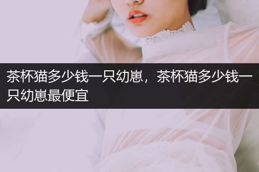 茶杯貓多少錢一只幼崽，茶杯貓多少錢一只幼崽最便宜