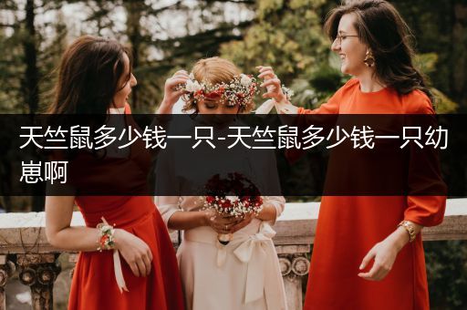 天竺鼠多少錢一只-天竺鼠多少錢一只幼崽啊