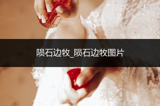 隕石邊牧_隕石邊牧圖片