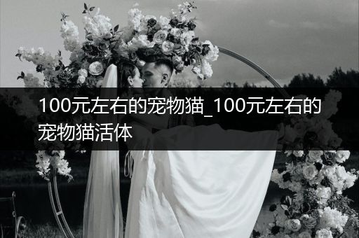 100元左右的寵物貓_100元左右的寵物貓活體