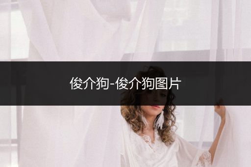 俊介狗-俊介狗圖片