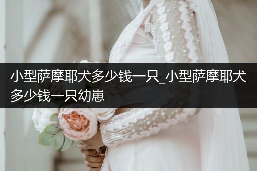 小型薩摩耶犬多少錢一只_小型薩摩耶犬多少錢一只幼崽