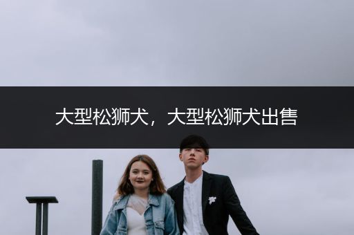 大型松獅犬，大型松獅犬出售