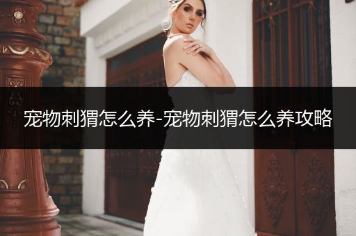 寵物刺猬怎么養(yǎng)-寵物刺猬怎么養(yǎng)攻略