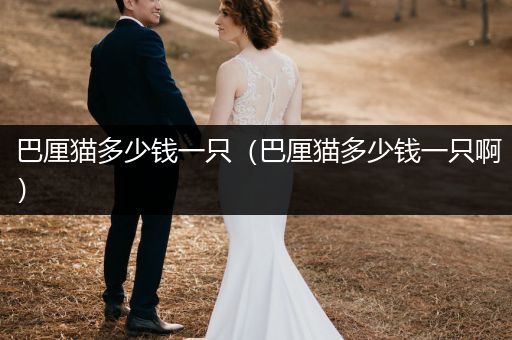 巴厘貓多少錢(qián)一只（巴厘貓多少錢(qián)一只啊）