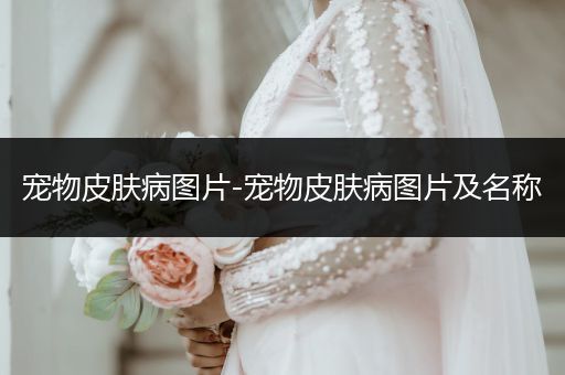 寵物皮膚病圖片-寵物皮膚病圖片及名稱