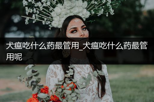 犬瘟吃什么藥最管用_犬瘟吃什么藥最管用呢