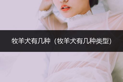 牧羊犬有幾種（牧羊犬有幾種類型）