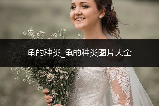 龜?shù)姆N類_龜?shù)姆N類圖片大全