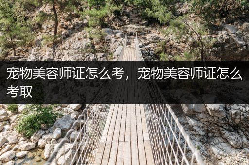 寵物美容師證怎么考，寵物美容師證怎么考取