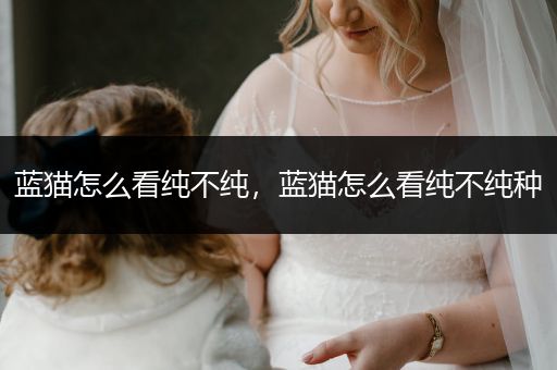 藍(lán)貓?jiān)趺纯醇儾患?，藍(lán)貓?jiān)趺纯醇儾患兎N