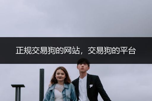 正規(guī)交易狗的網(wǎng)站，交易狗的平臺