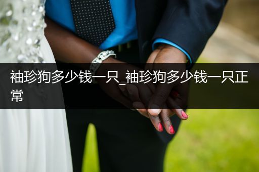 袖珍狗多少錢一只_袖珍狗多少錢一只正常