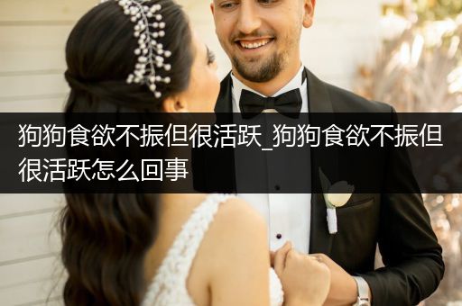 狗狗食欲不振但很活躍_狗狗食欲不振但很活躍怎么回事