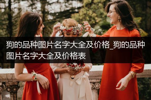 狗的品種圖片名字大全及價(jià)格_狗的品種圖片名字大全及價(jià)格表
