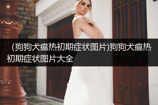 （狗狗犬瘟熱初期癥狀圖片)狗狗犬瘟熱初期癥狀圖片大全