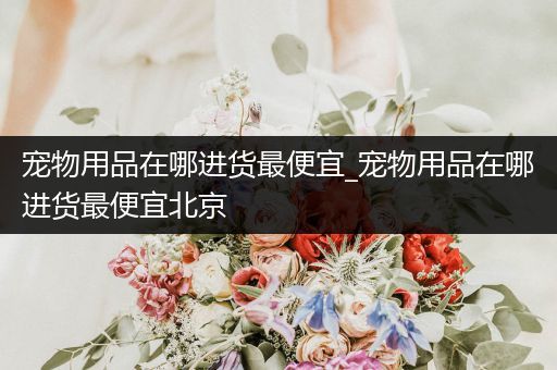 寵物用品在哪進(jìn)貨最便宜_寵物用品在哪進(jìn)貨最便宜北京