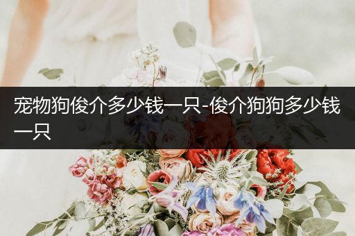 寵物狗俊介多少錢一只-俊介狗狗多少錢一只