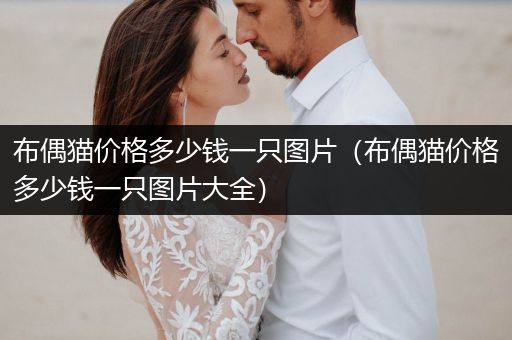 布偶貓價(jià)格多少錢一只圖片（布偶貓價(jià)格多少錢一只圖片大全）