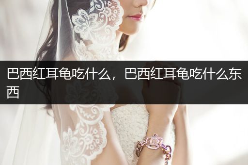 巴西紅耳龜吃什么，巴西紅耳龜吃什么東西