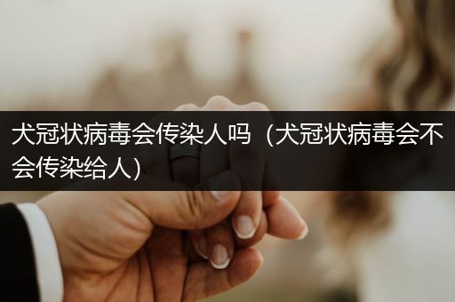 犬冠狀病毒會(huì)傳染人嗎（犬冠狀病毒會(huì)不會(huì)傳染給人）