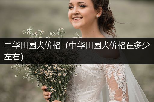 中華田園犬價(jià)格（中華田園犬價(jià)格在多少左右）