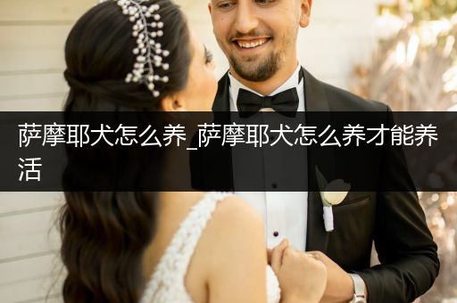 薩摩耶犬怎么養(yǎng)_薩摩耶犬怎么養(yǎng)才能養(yǎng)活