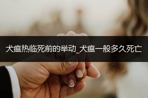 犬瘟熱臨死前的舉動_犬瘟一般多久死亡