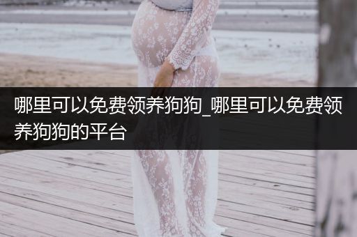 哪里可以免費(fèi)領(lǐng)養(yǎng)狗狗_哪里可以免費(fèi)領(lǐng)養(yǎng)狗狗的平臺(tái)