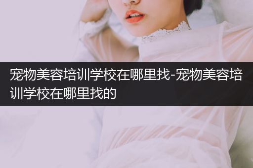 寵物美容培訓(xùn)學(xué)校在哪里找-寵物美容培訓(xùn)學(xué)校在哪里找的
