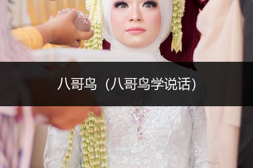 八哥鳥(niǎo)（八哥鳥(niǎo)學(xué)說(shuō)話）