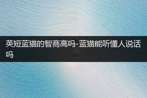 英短藍貓的智商高嗎-藍貓能聽懂人說話嗎